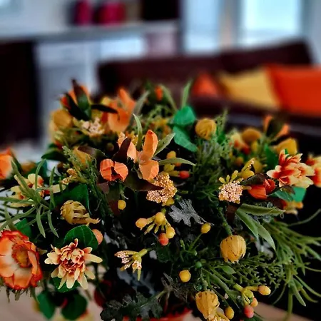 Modern Villa, 4 Bedrooms, Private Pool, Close To Coral Bay Strip Villa Peyia